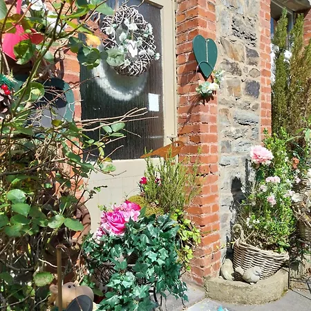 Apartamento Louise *