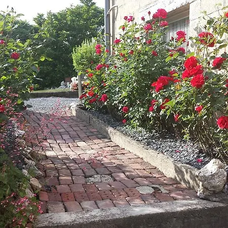 Apartamento Louise *